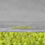 Ezio Balliano Fructidor 2019 Il Melograno Art Gallery