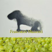 Francesco Manenti Fructidor 2019 Il Melograno Art Gallery