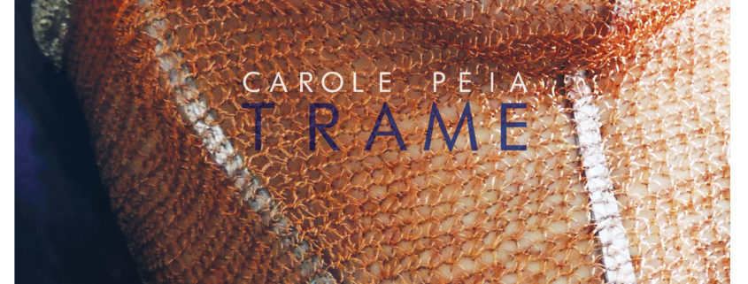 Carole Peia - Trame - Quasi Quadro - Nesxt -Torino