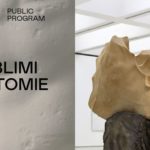 Giuseppe Penone Avvolgere la terra - Palazzo delle Esposizioni - Roma