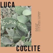 Luca Coclite - Supertrama - Marktstudio - Bologna
