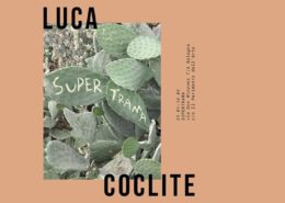 Luca Coclite - Supertrama - Marktstudio - Bologna