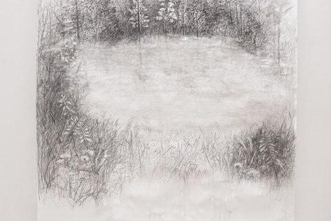 States of Uncertain Domesticities, mostra a cura di Ada Lombardi da Emmeotto Arte a Roma