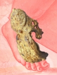 immagine dalla mostra “Rosa” di Luca Trevisani alla Sala Morone del Convento di San Bernardino a Verona