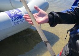 Spada in bronzo dell’Età del Bronzo rinvenuta nel Lago di Mezzano, Valentano